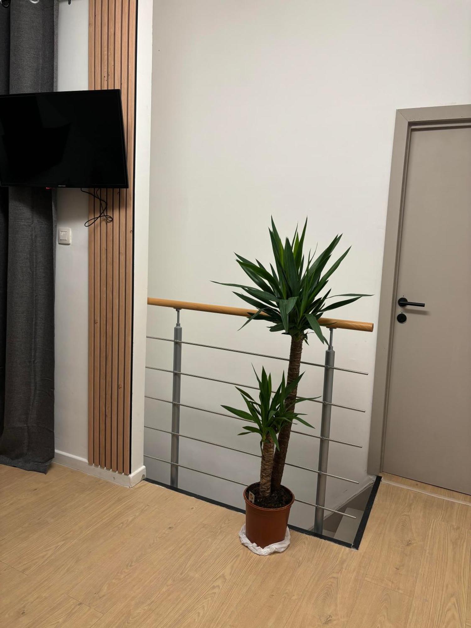 Ubuntu House - Charleroi Apartment Exterior photo